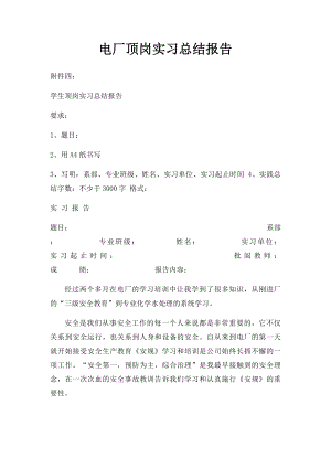 电厂顶岗实习总结报告.docx