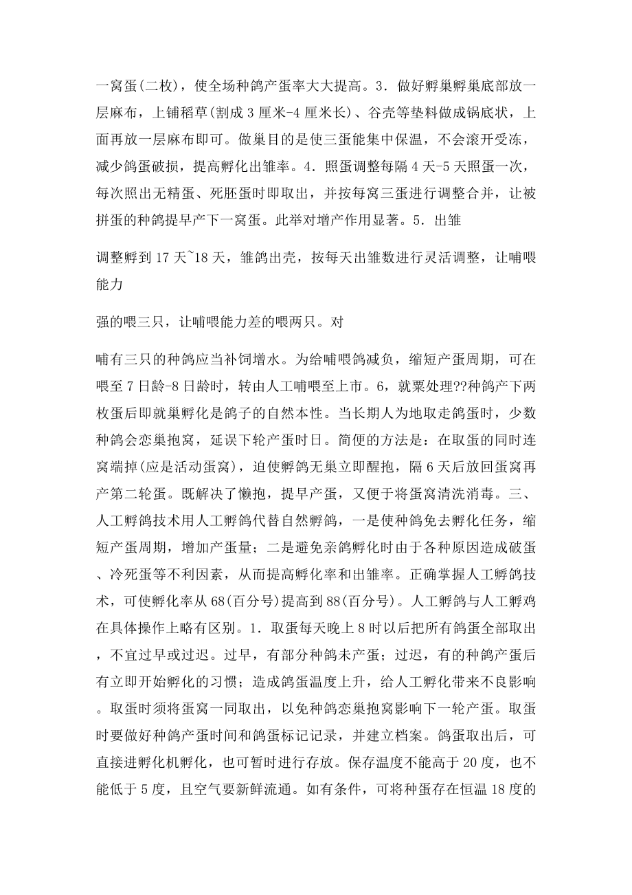 白羽王鸽高产的养殖技术.docx_第2页