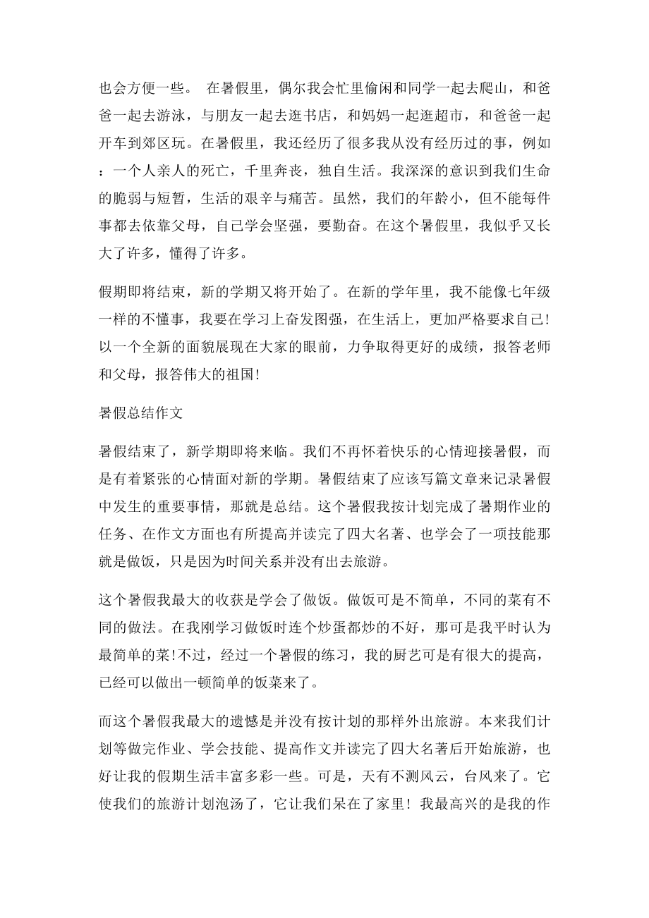 暑假总结作文.docx_第2页