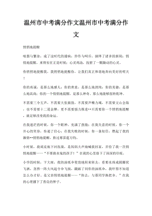 温州市中考满分作文温州市中考满分作文(2).docx