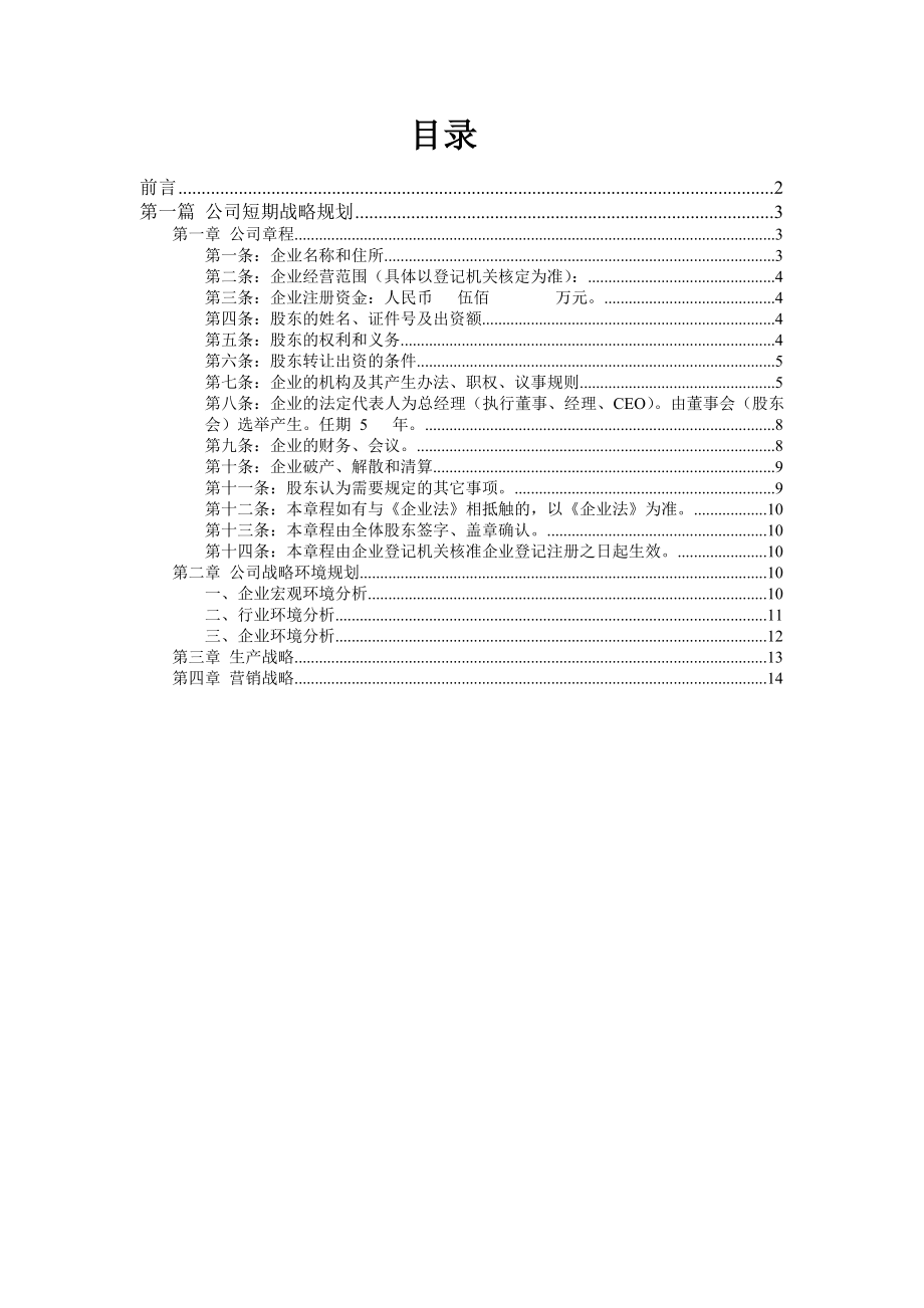 成立照明有限公司企业策划计划书.doc_第2页