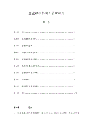 【企业】公司组织机构及管理细则范本（WORD档） .doc