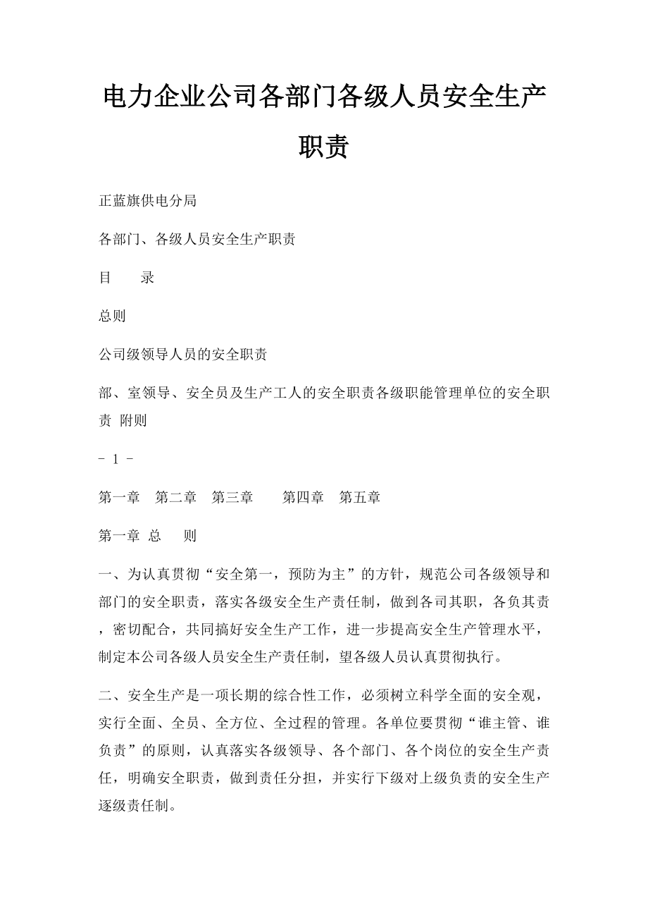 电力企业公司各部门各级人员安全生产职责.docx_第1页