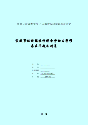 宣威市板桥镇农村剩余劳动力转移存在问题及对策毕业论文.doc