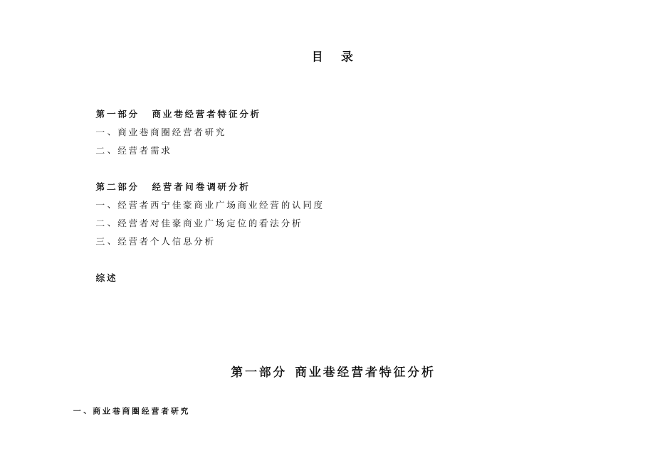 05佳豪商业广场项目经营者调研分析报告.doc_第2页