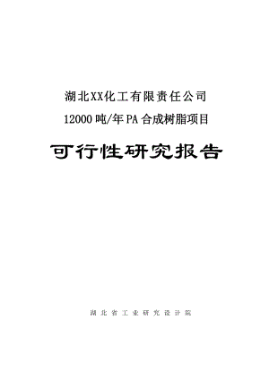 12000 吨pa合成树脂项目可行性研究报告.doc