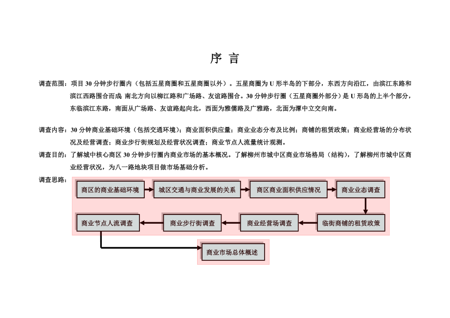 7月柳州五星商圈商业市调报告.doc_第2页