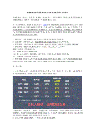 驰源公司企业合伙人合作协议合同协议表格模板实用文档.doc