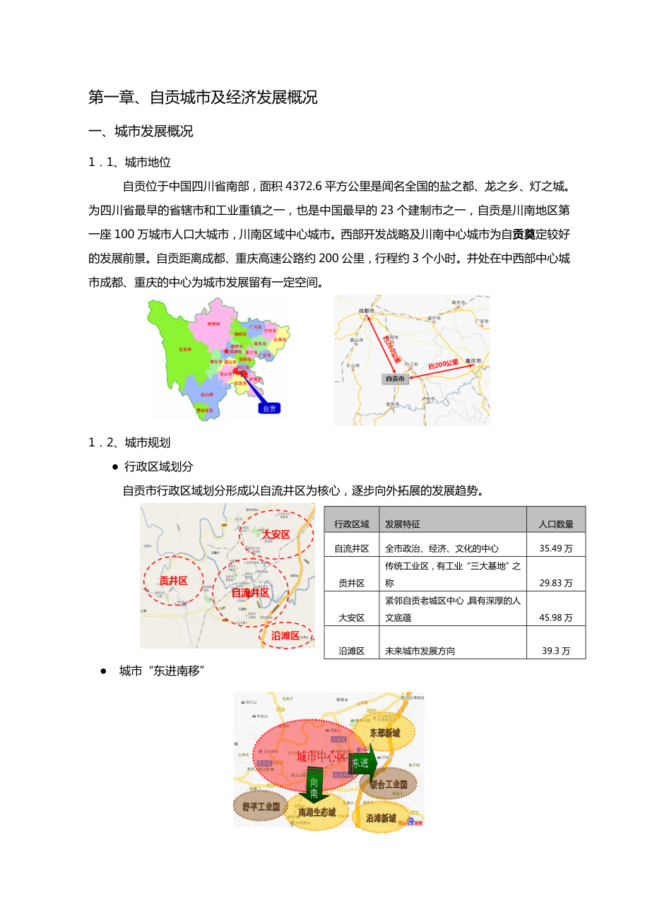 自贡商业市场调研报告.doc_第3页