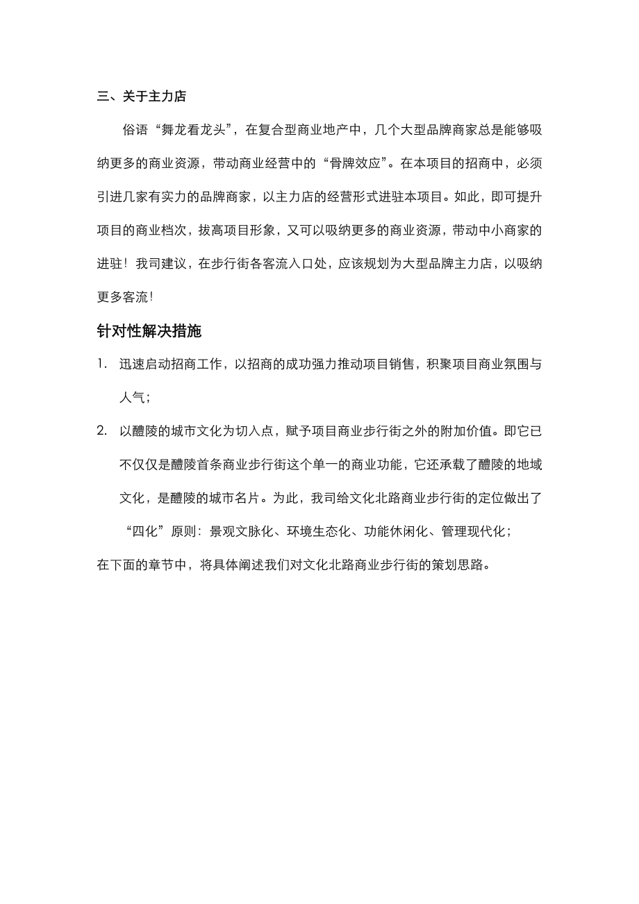 商业步行街策划方案.doc_第3页