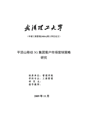 工商管理[MBA]硕士学位论文平顶山移动3G集团客户市场营销策略研究.doc