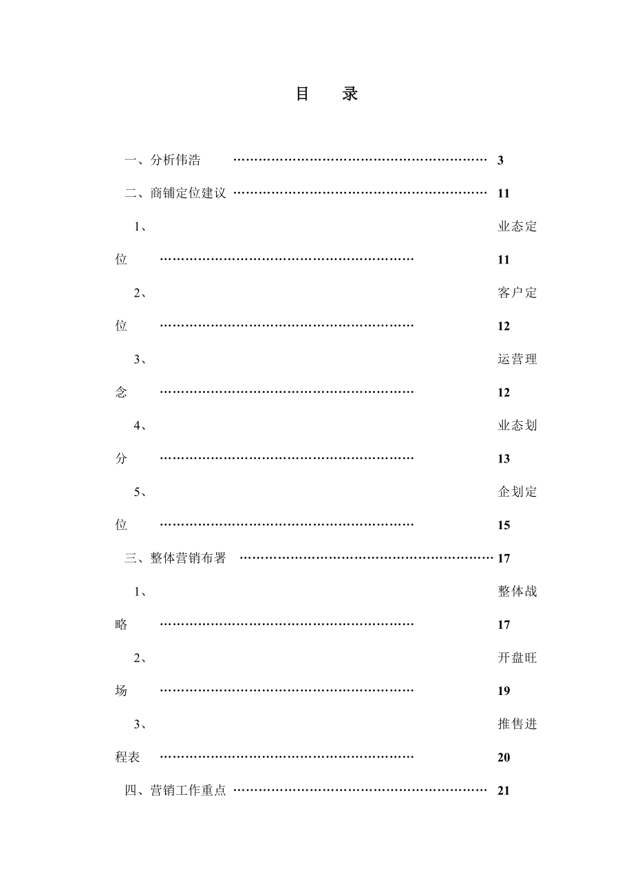 山东东营胜大花园配套商业策划报告.doc_第2页