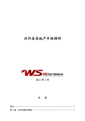 上海万申策略机构沭阳房地产市场调研分析报告.doc