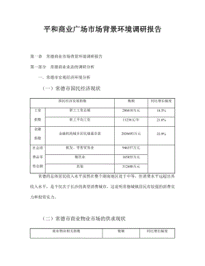 平和商业广场市场背景环境调研报告.doc