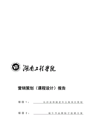 生活老公寓营销策划.doc