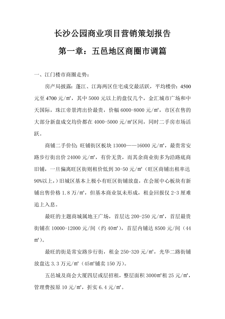 长沙公园商业项目营销策划报告.doc_第2页