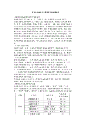 韩束化妆品公司中国渠道市场品牌战略.doc