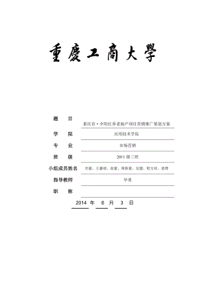 养老地产项目营销推广策划方案.doc