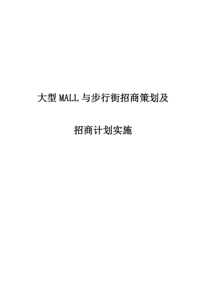 大型MALL与步行街招商策划及招商计划实施.doc