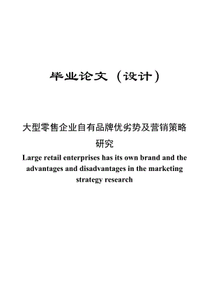 大型零售企业自有品牌优劣势及营销策略研究毕业论文.doc