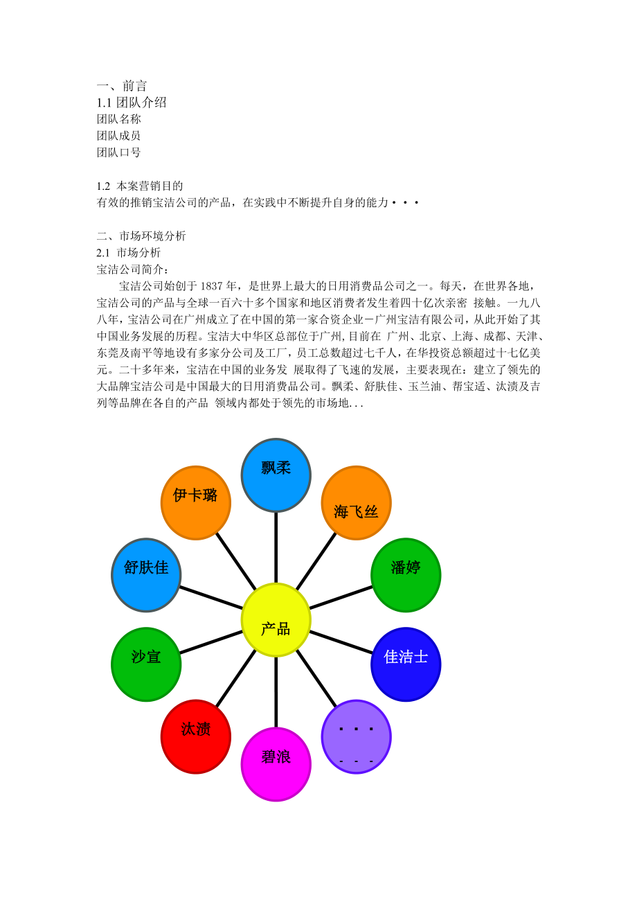 宝洁杯营销策划书.doc_第2页