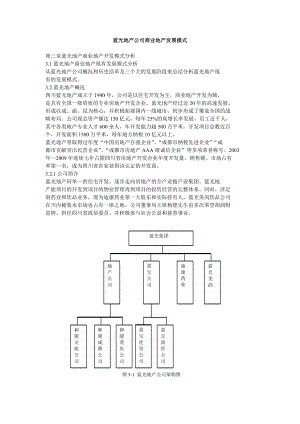 蓝光地产公司商业地产发展模式.doc