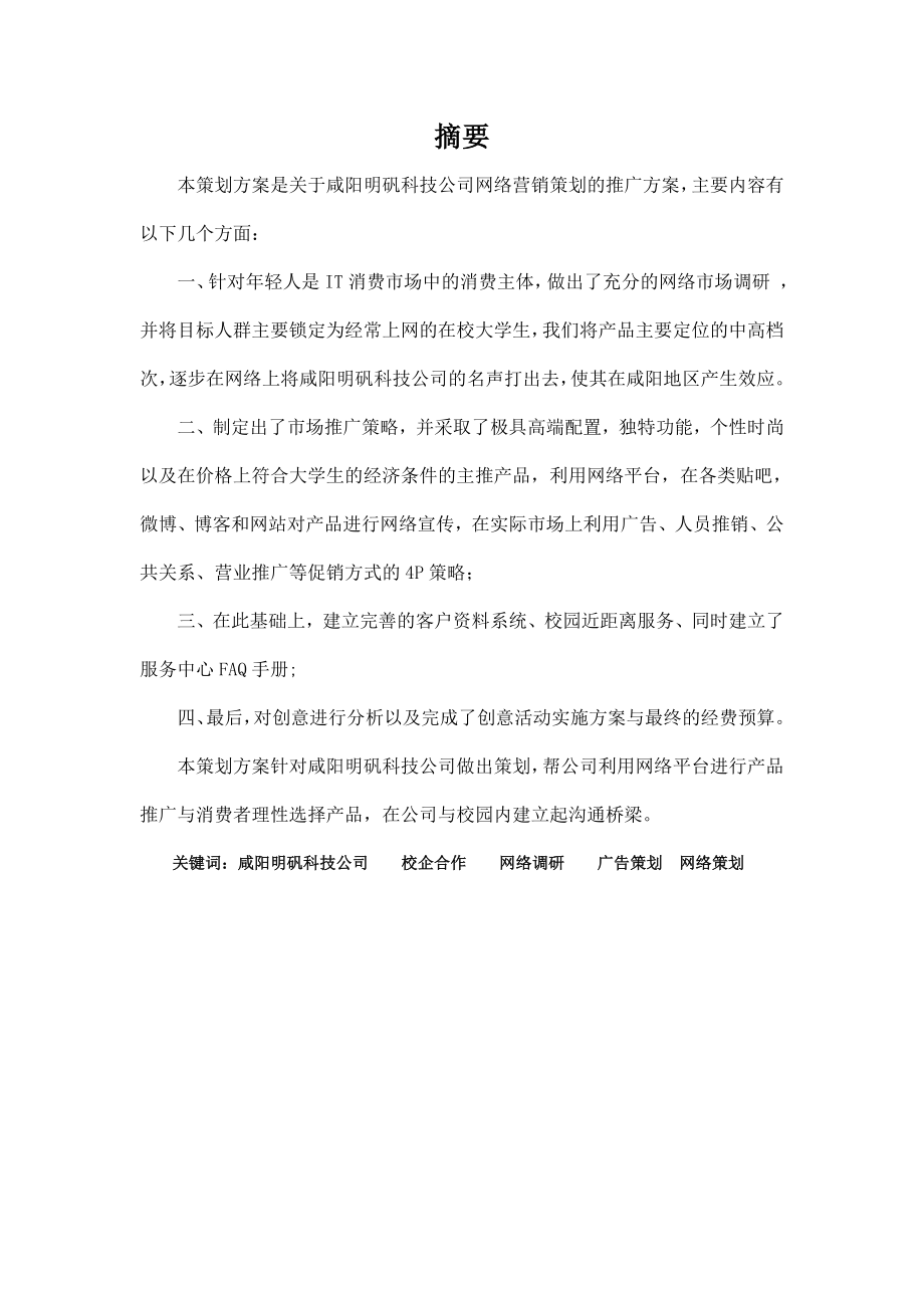 咸阳明凡电子科技公司网络营销策划方案.doc_第2页