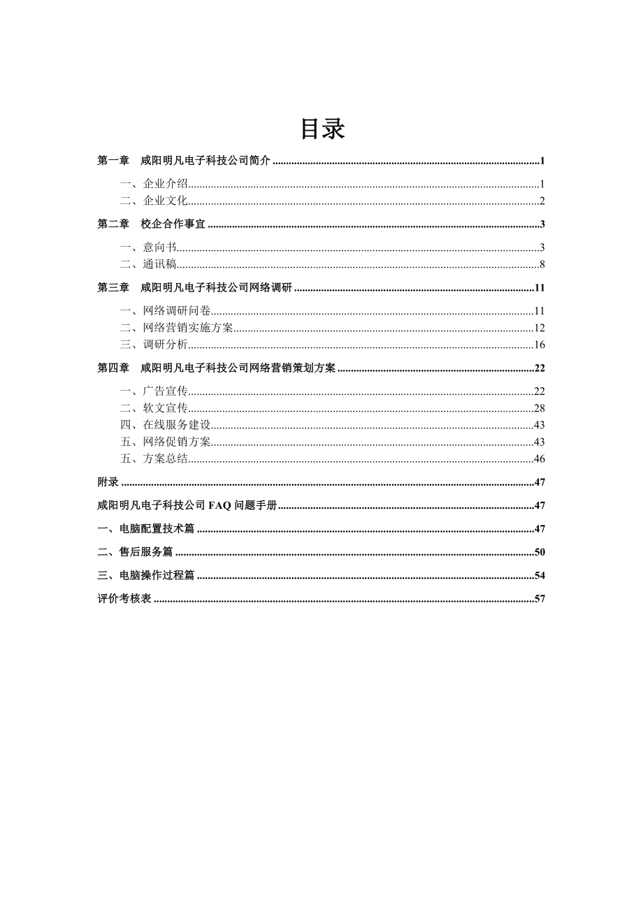 咸阳明凡电子科技公司网络营销策划方案.doc_第3页