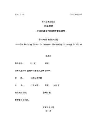 网络营销——中国洗涤业网络营销策略研究.doc