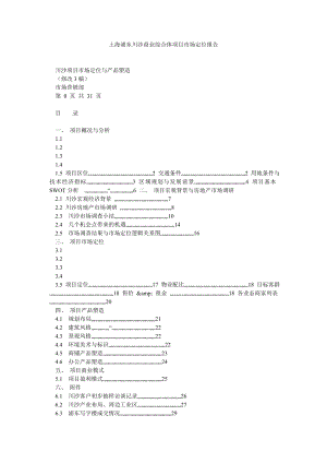 上海浦东川沙商业综合体项目市场定位报告.doc