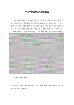 中国牛仔品牌市场分析报告.doc