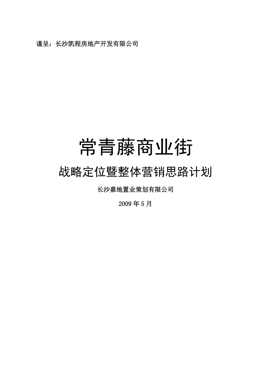 商业街战略定位暨整体营销思路计划(终).doc_第1页