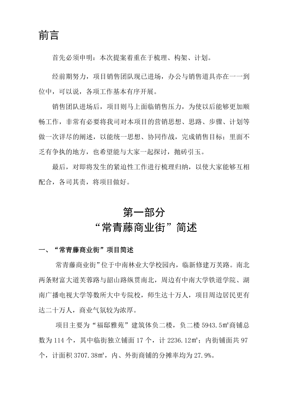 商业街战略定位暨整体营销思路计划(终).doc_第2页