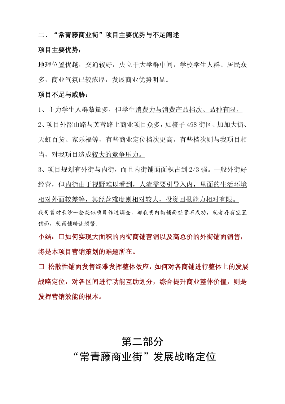 商业街战略定位暨整体营销思路计划(终).doc_第3页