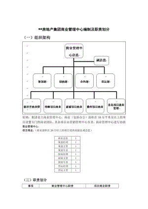 某房地产集团商业管理中心编制及职责划分.doc