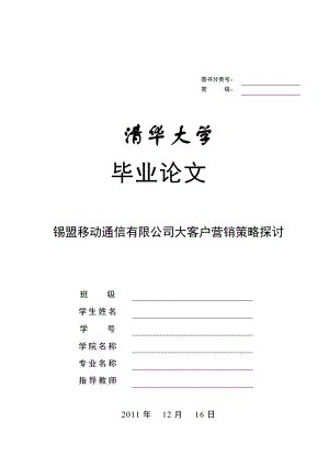 移动通信有限公司大客户营销策略探讨.doc