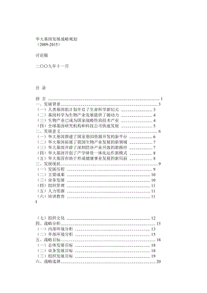 华大基因发展战略规划().doc