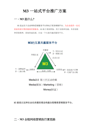 M3一站式网络营销解决方案平台推广方案.doc