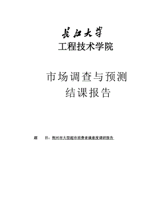 某大型超市消费者满意度调研报告.doc