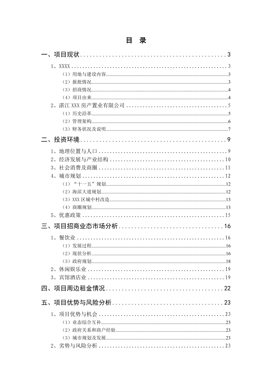 湛江商业地产项目建议书.doc_第2页