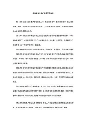 山东省安全生产举报受理办法-全文及解读.docx