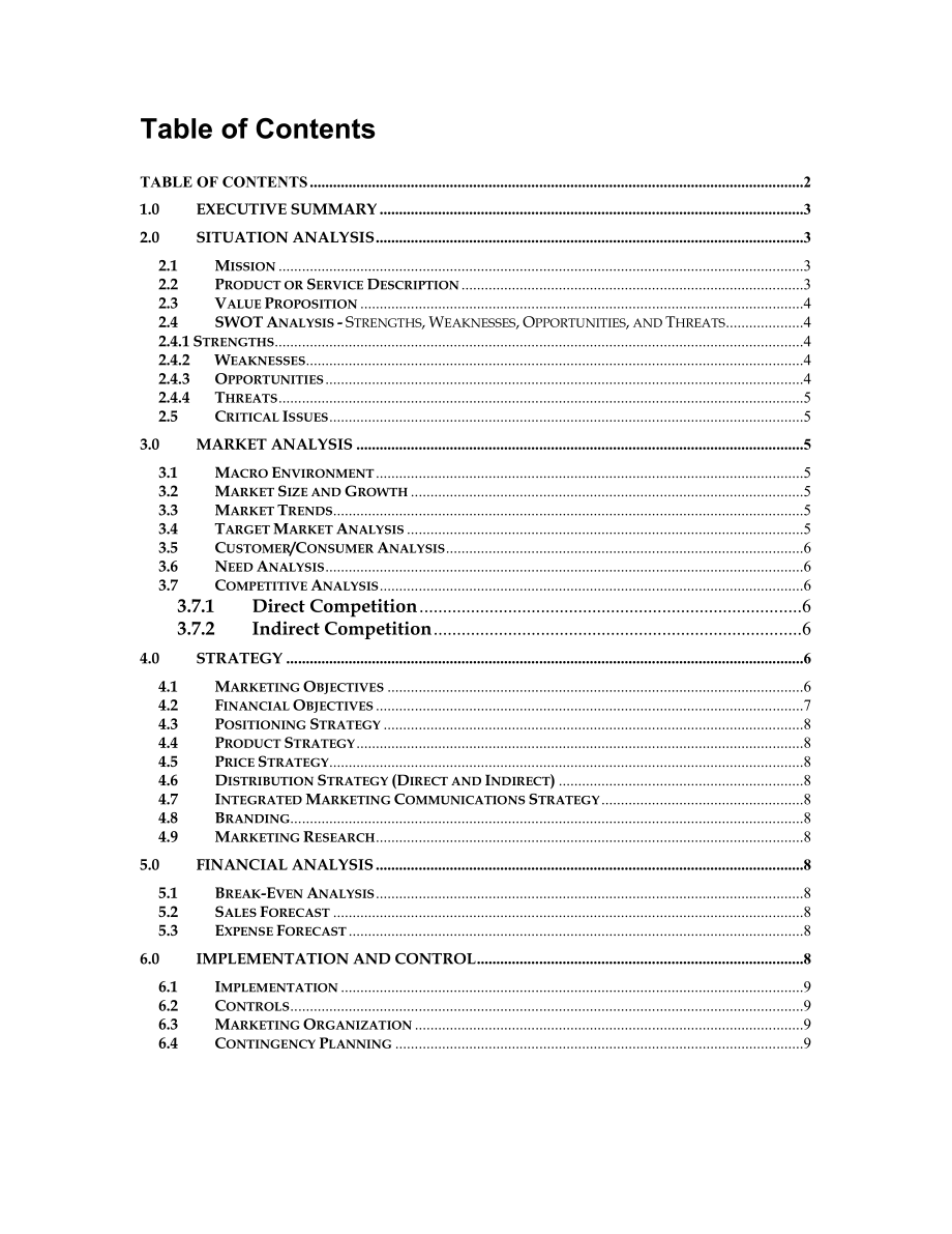 Marketing Plan Outline.doc_第2页