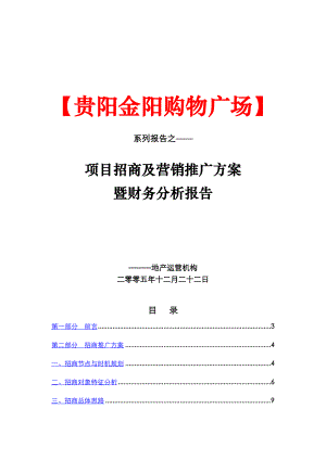 贵阳金阳购物广场项目招商及营销推广方案暨财务分析报告.doc