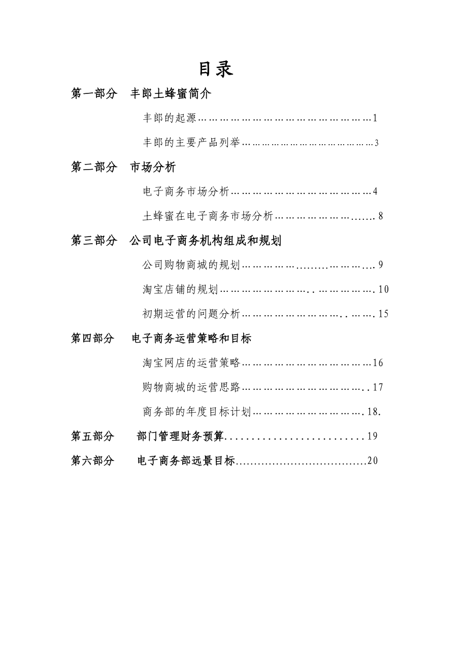 土蜂蜜网络营销策划书.doc_第1页