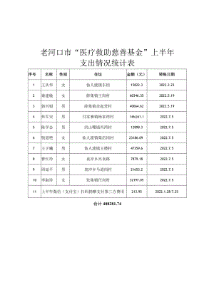 老河口市“医疗救助慈善基金”上半年支出情况统计表.docx