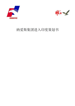 纳爱斯进入印度策划书.doc