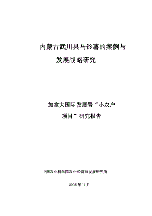 某市马铃薯的案例与发展战略研究.doc