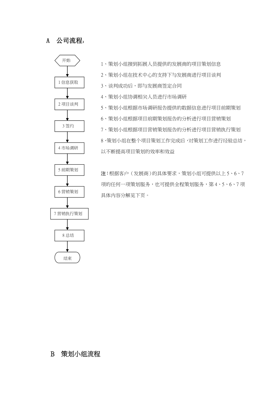 地产有限公司 策划工作指引.doc_第3页