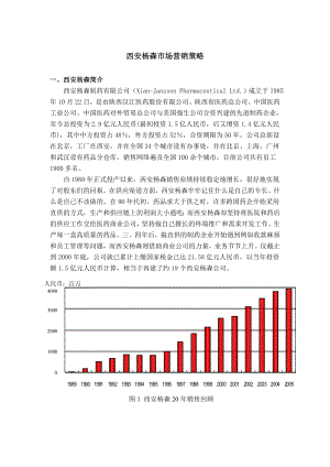 西安杨森市场营销策略.doc