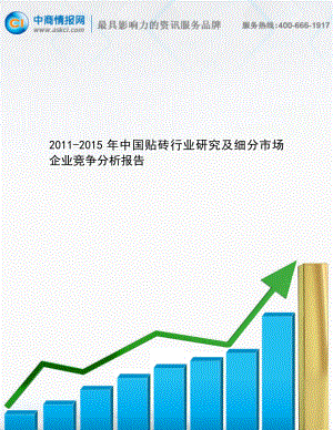 中国贴砖行业研究及细分市场企业竞争分析报告.doc